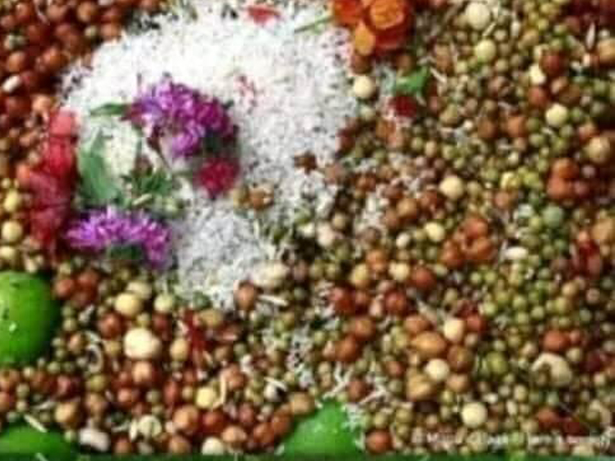 बिरुडाको जोहो गर्नै मुस्किल 